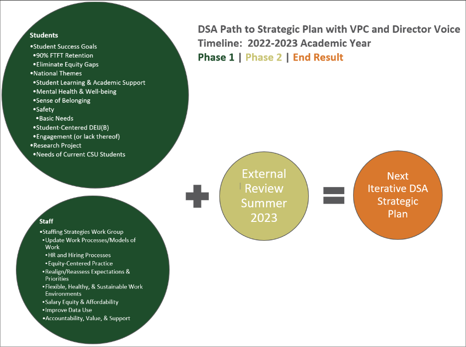 DSA Path To Strategic Plan With VPC And Director Voice Timeline